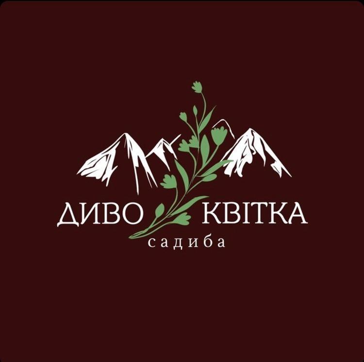 диво квітка Daire Tatariv